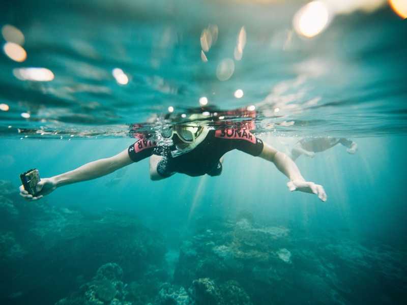 The Great Barrier Reef